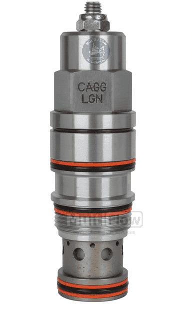 CAGGLGN