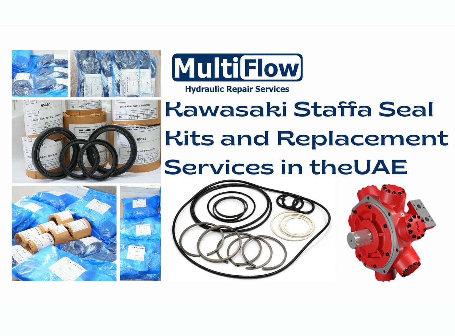 Kawasaki Staffa Seal Kits & Replacement Services UAE
