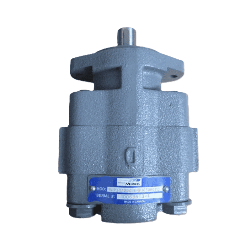 Cast Iron Gear Pump