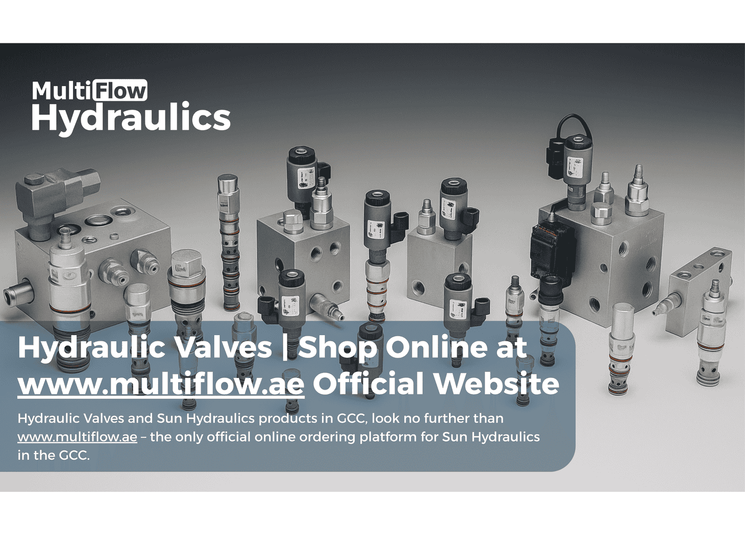 Hydraulic Valves | Shop Online at www.multiflow.ae Official Website